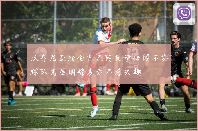 沃齐尼亚转会巴乙阿瓦伊传闻不实球队高层明确表示不感兴趣